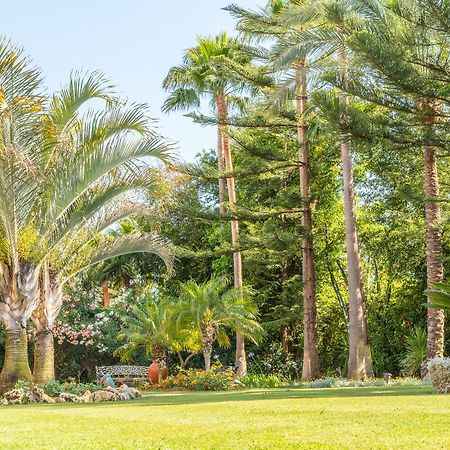The Grand Oasis Estepona Марбелья Экстерьер фото